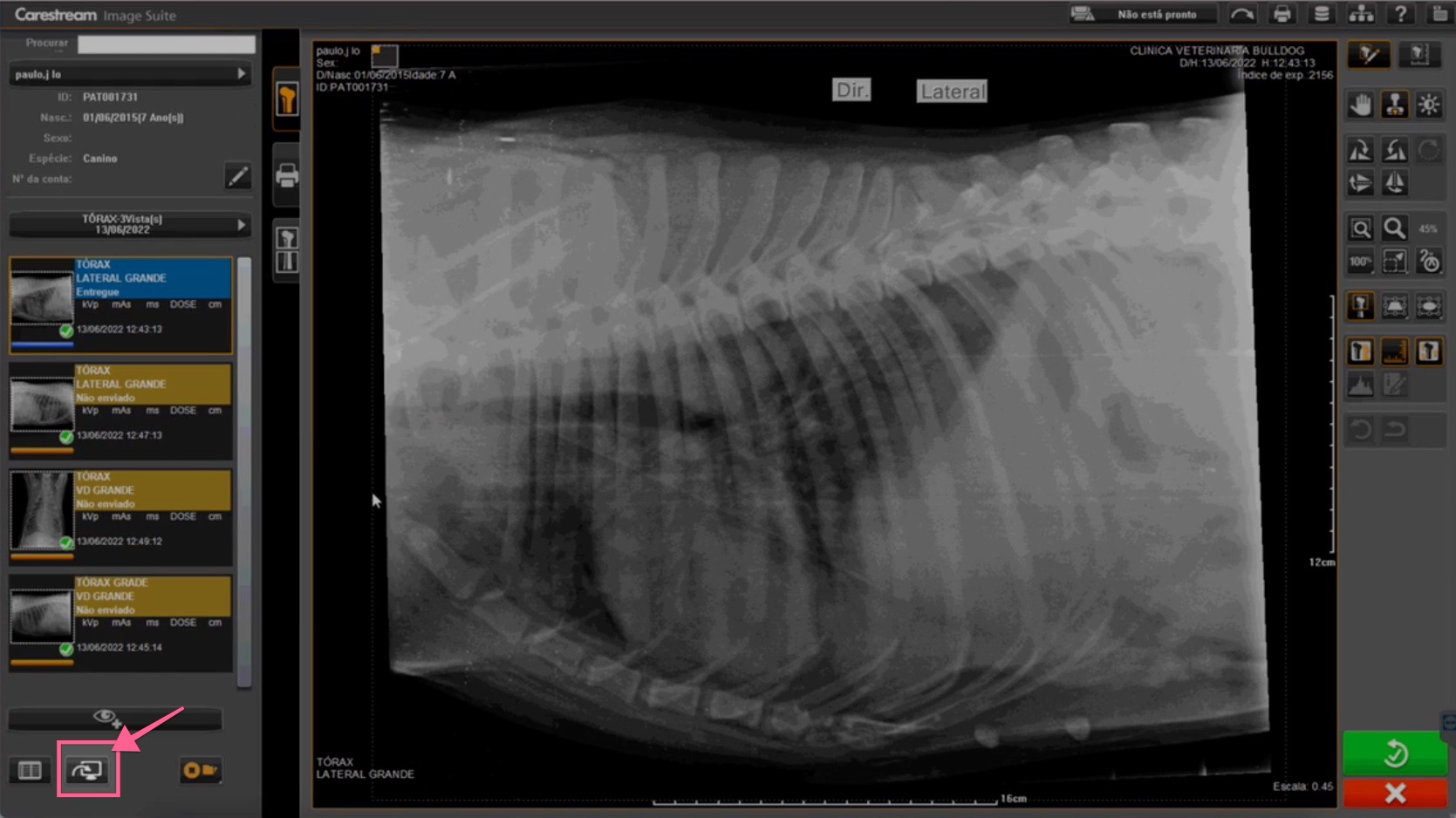 Image viewer with the export icon highlighted in the bottom toolbar